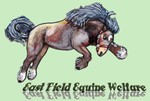 east-field-equine-welfare
