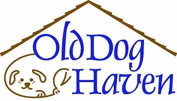 Old dog Haven