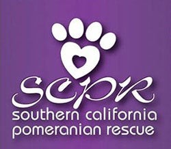 Southern California Pomeranian Rescue, Inc