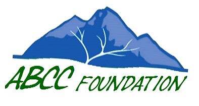 Americans For The Betterment Of Catholic Children