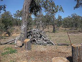 timber fallen acres trees firewood seasoned australia