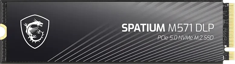 MSI Spatium M571 DLP 4TB, M.2 2280