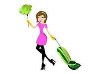 Sparkly Clean - Domestic Cleaner