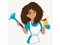  cleaner professional cleaning services