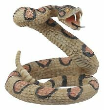 (売り切り最終価格)STAR OF HOLLYWOOD Rattle Snake Belle Starr” 2023 Female Het. Leucistic Texas Rat Snake