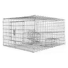 Sparrow Trap with Two Chambers (8 In. X 12 In. X 16 In.)