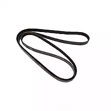 Las mejores ofertas en Cinturones de accesorios para Las mejores ofertas en Cinturones de accesorios para