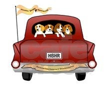 Houston Beagle and Hound Rescue
