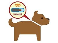 Mobile Microchipping Cats & Dogs