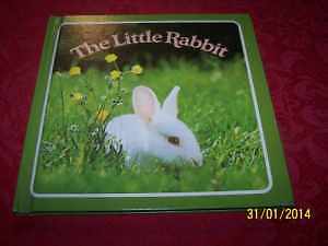 The Little Rabbit - Hardcover, by Dunn Judy - Acceptable