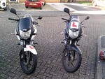 alepante-0