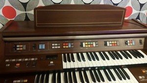 Kawai Bl 31 Serial Number