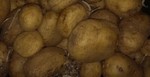 organicrich