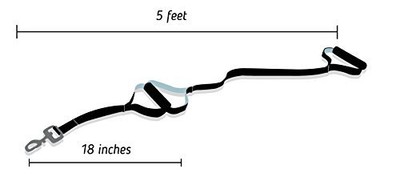 Leashboss Original - Heavy Duty Two Handle Dog Leash for Large Dogs - No Pull