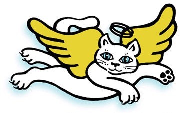 Cat Angel Network