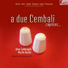 A Due Cembali-Caprices... von Martin Gester | CD | Zustand sehr gut