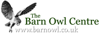 Barn Owl Centre Ltd