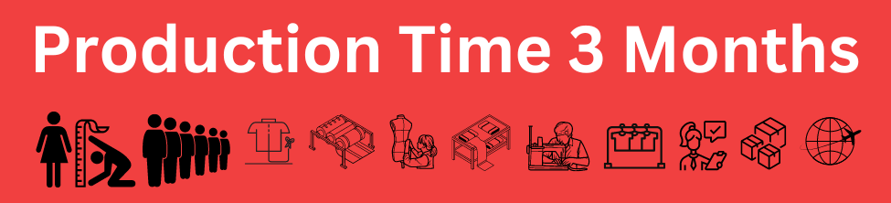 Star Wars Han Solo DL-44 Rig