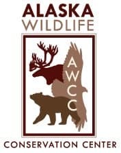 Alaska Wildlife Conservation Center