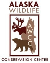 Alaska Wildlife Conservation Center