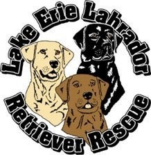 Lake Erie Labrador Retriever Rescue
