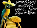 leuchtsternchen18