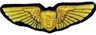 US Army Glider Pilot Wing 3.jpg