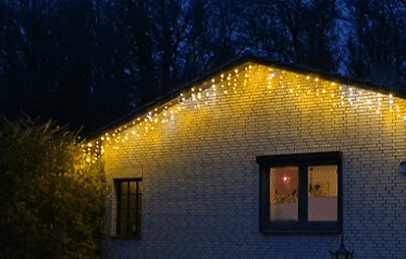 Foto dell'oggetto di un acquirente verificato