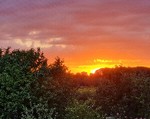 linda_sonnenschein