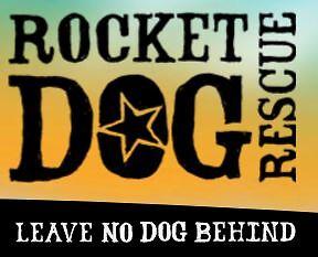 Rocket Dog Rescue