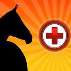 All Vegas Horses