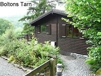 Lake District Dog Friendly Log Cabin short break commencing 24th Sept 2022