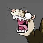 ferretlocksports
