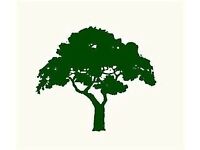 Friendly and Reliable Gardener and Tree Surgeon Brian McWilliams Garden Services