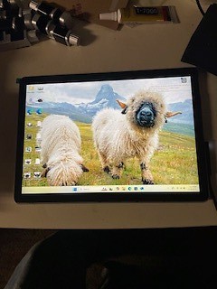 Item photo(s) from verified buyer