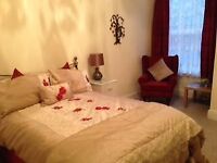 Beautifully furnished large double room near the Wells Road Knowle