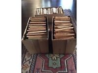 3 Boxes of Chopped Kindling Wood