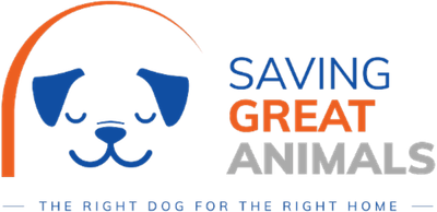 Saving Great Animals