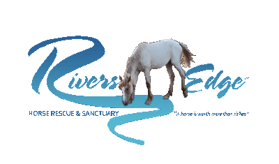 Rivers Edge Horse Rescue And Sanctuary