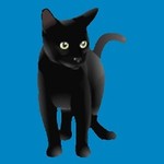 black-cat2