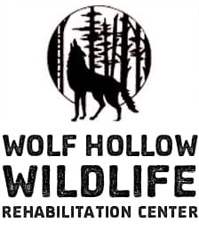 Wolf Hollow Rehabilitation Center