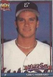 1991 Topps Micro - Greg Hibbard #256