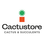 cactustore_succulent