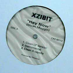 Xzibit - Hey Now (Mean Muggin) (12") (Very Good (VG)) - 3226829317