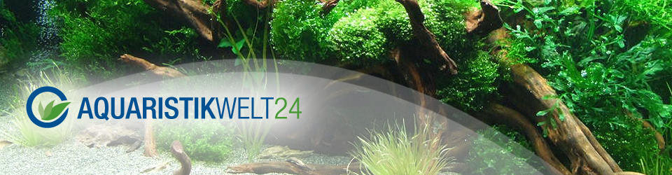 AQUARISTIKWELT24