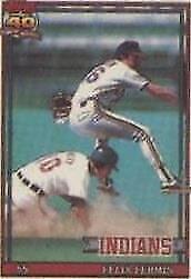 1991 Topps Micro - Felix Fermin #193