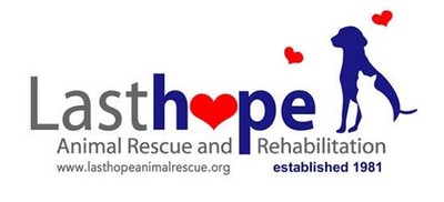 Last Hope Inc.