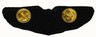 USAF PILOT WING Back.jpg