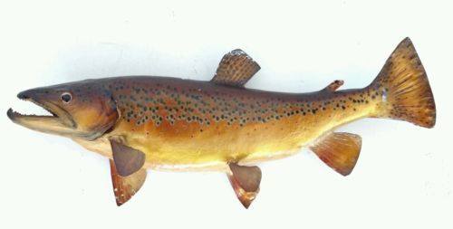 ウエダ Trout Stinger BORON 大きかれ 77 サクラマス|トラウト ウエダ Trout Stinger BORON 大きかれ 77 サクラマス|トラウト
