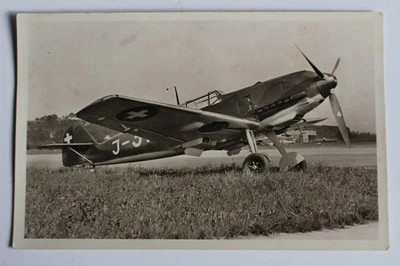 Photos de l'objet d'un acheteur vérifié